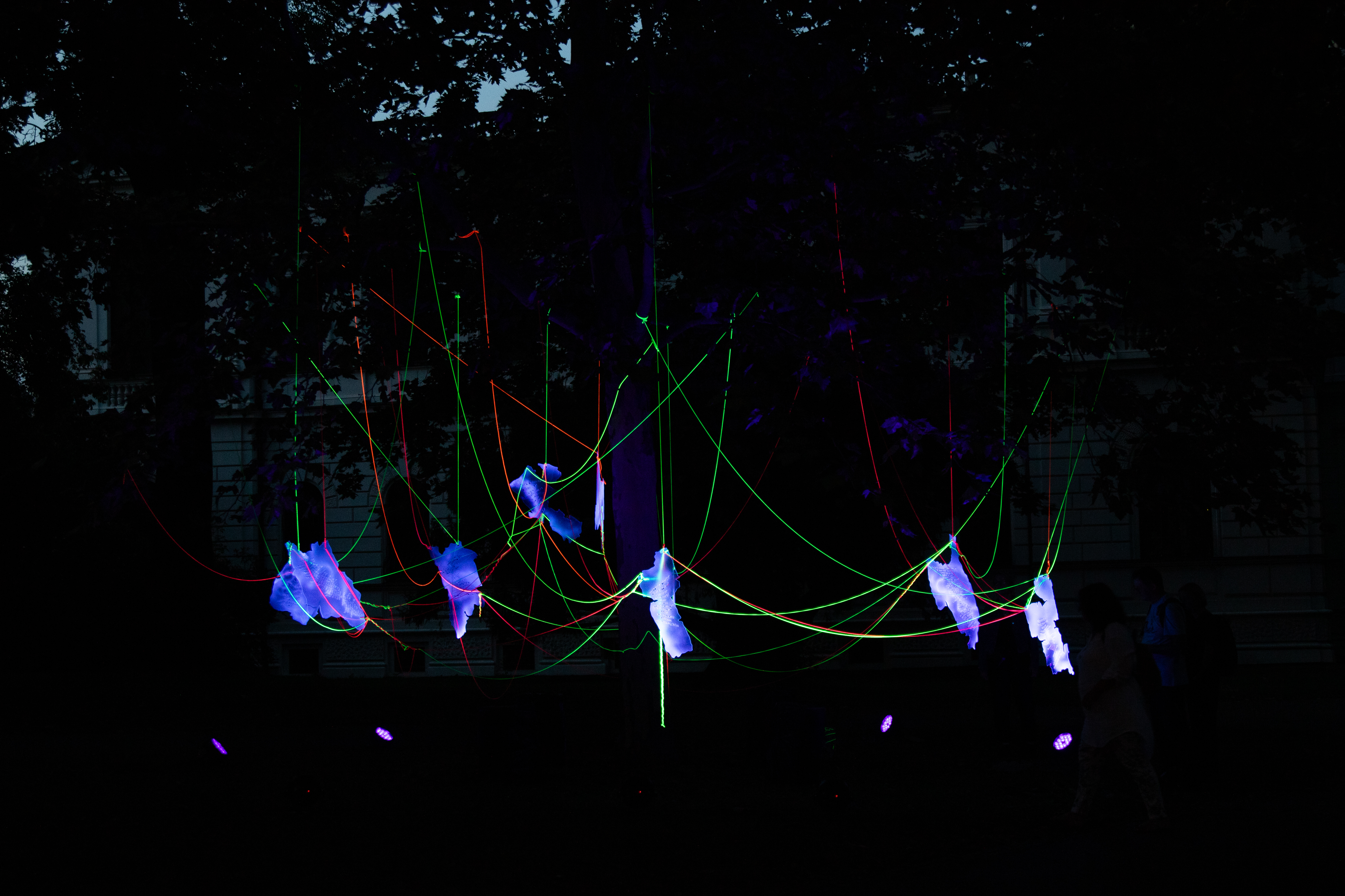 tb0a2363 | Statutární město Opava