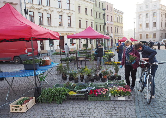 p4220008 | Statutární město Opava