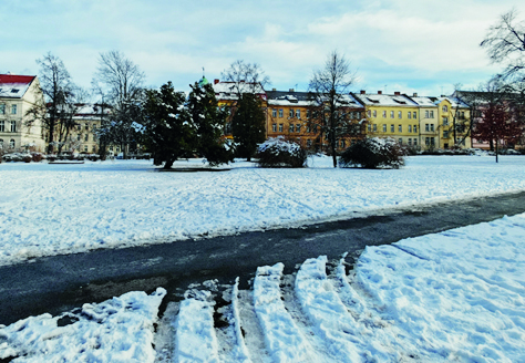 09 psi park ja | Statutární město Opava