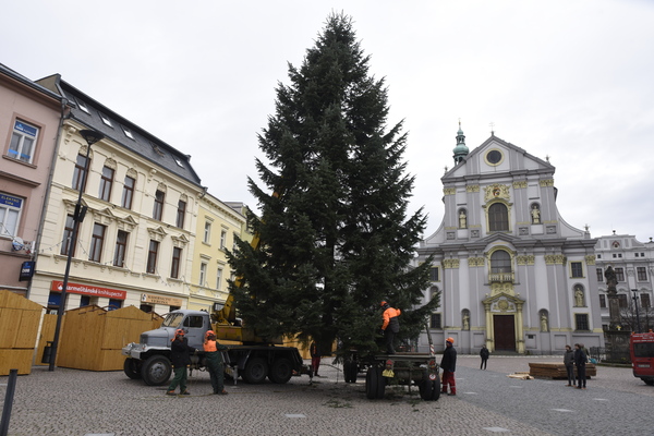 dsc8144 | Statutární město Opava