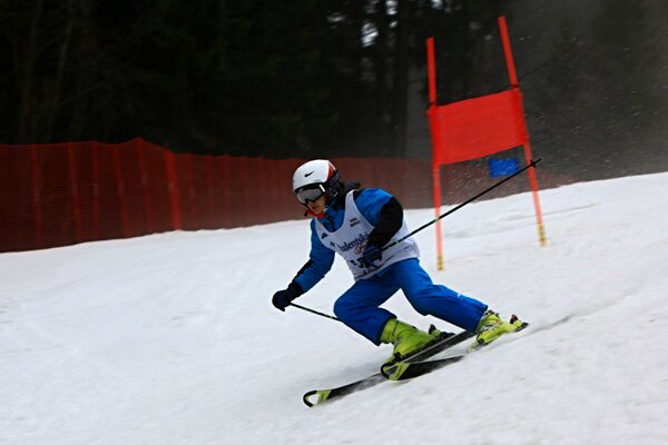 img 8132 | Statutární město Opava