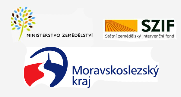 logo | Statutární město Opava
