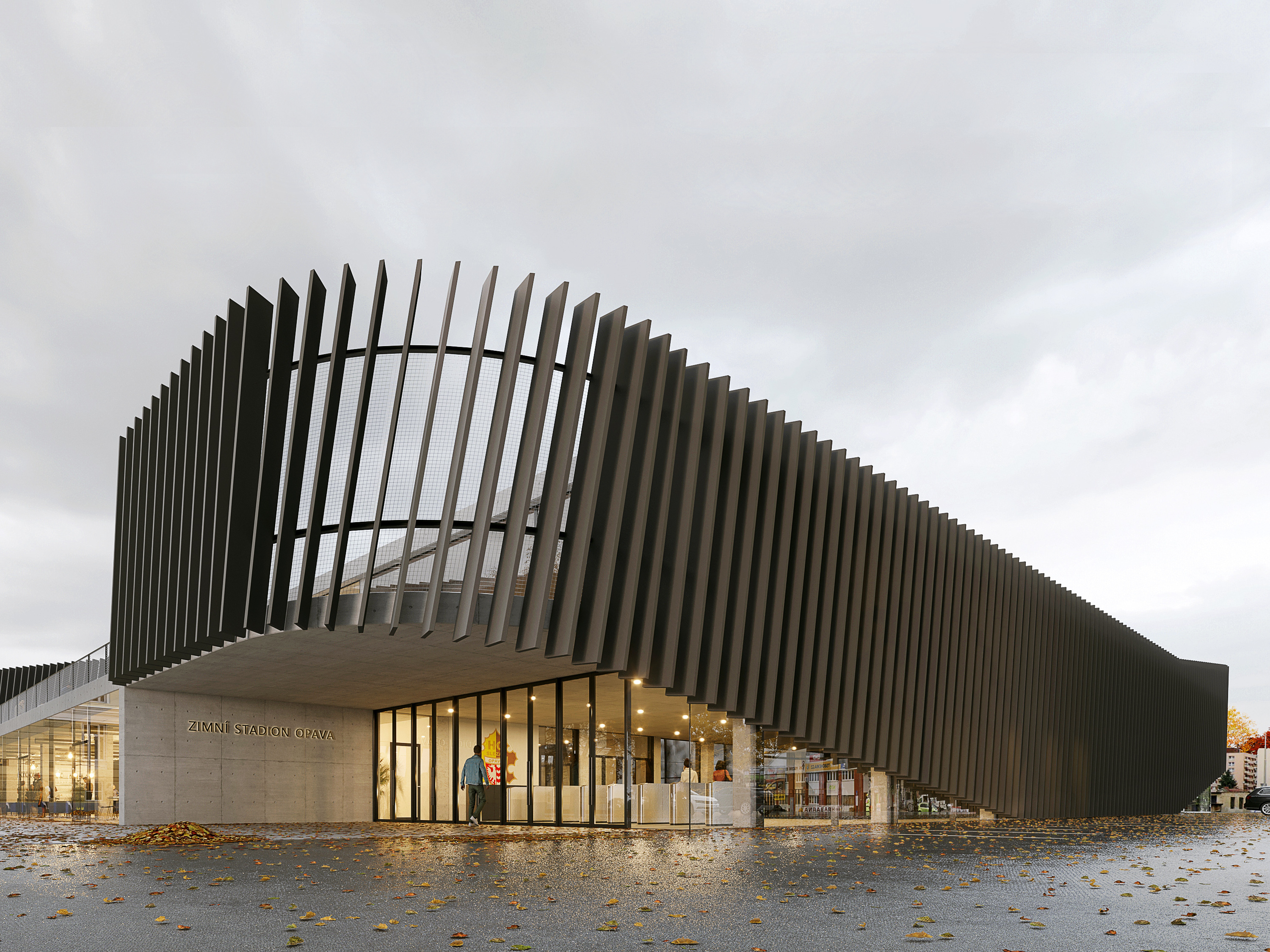 zimni stadion | Statutární město Opava