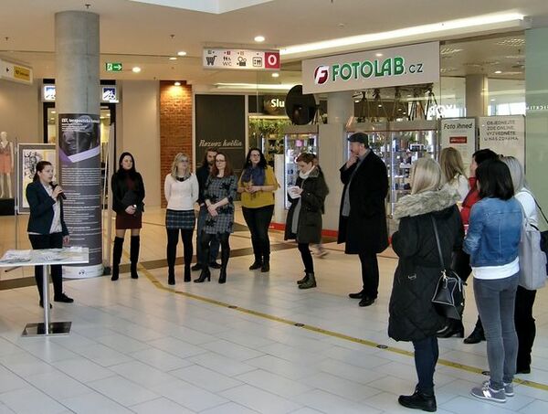 p3135856 0 | Statutární město Opava