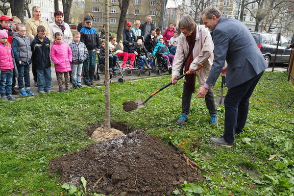 p4110020 | Statutární město Opava