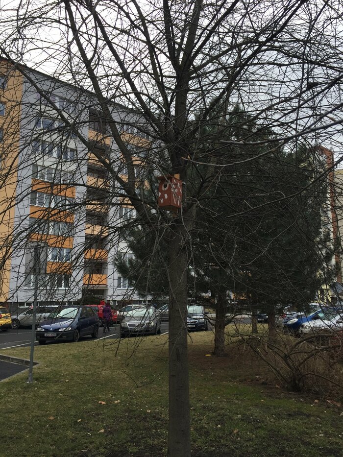 img 8261 | Statutární město Opava