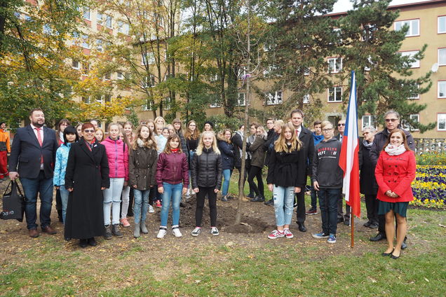 pa260061 | Statutární město Opava