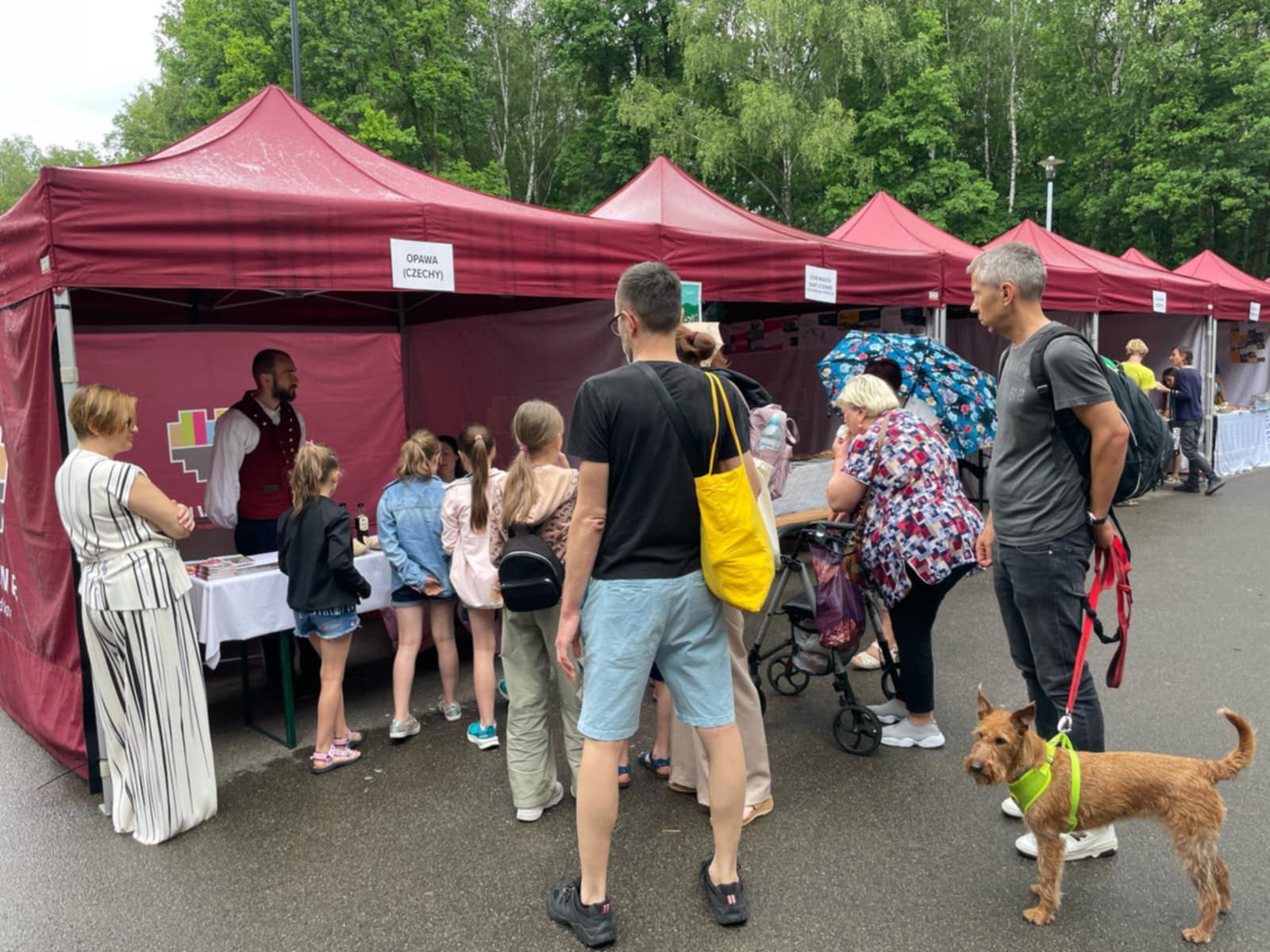 11n katovice 1 | Statutární město Opava