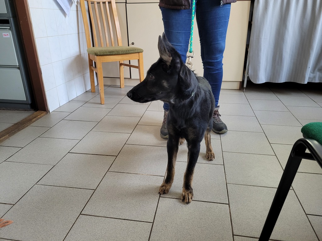 458602 3 | Statutární město Opava