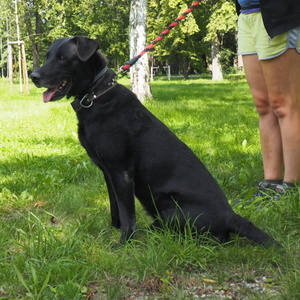 014 2 | Statutární město Opava