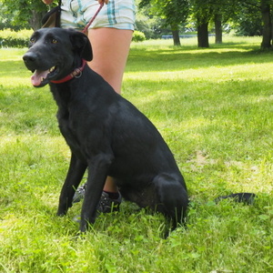 032 | Statutární město Opava