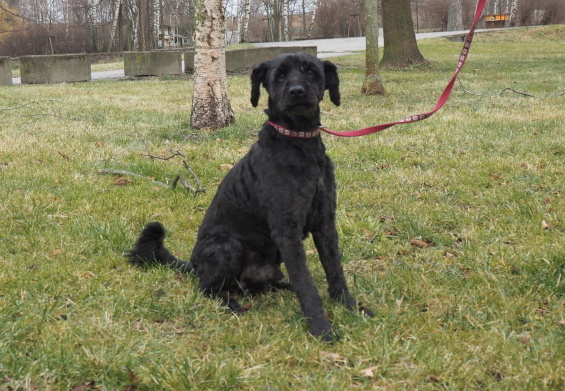 p1010323 | Statutární město Opava