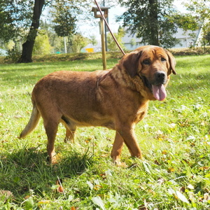 030 | Statutární město Opava