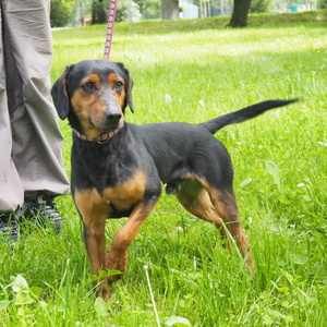 018 | Statutární město Opava