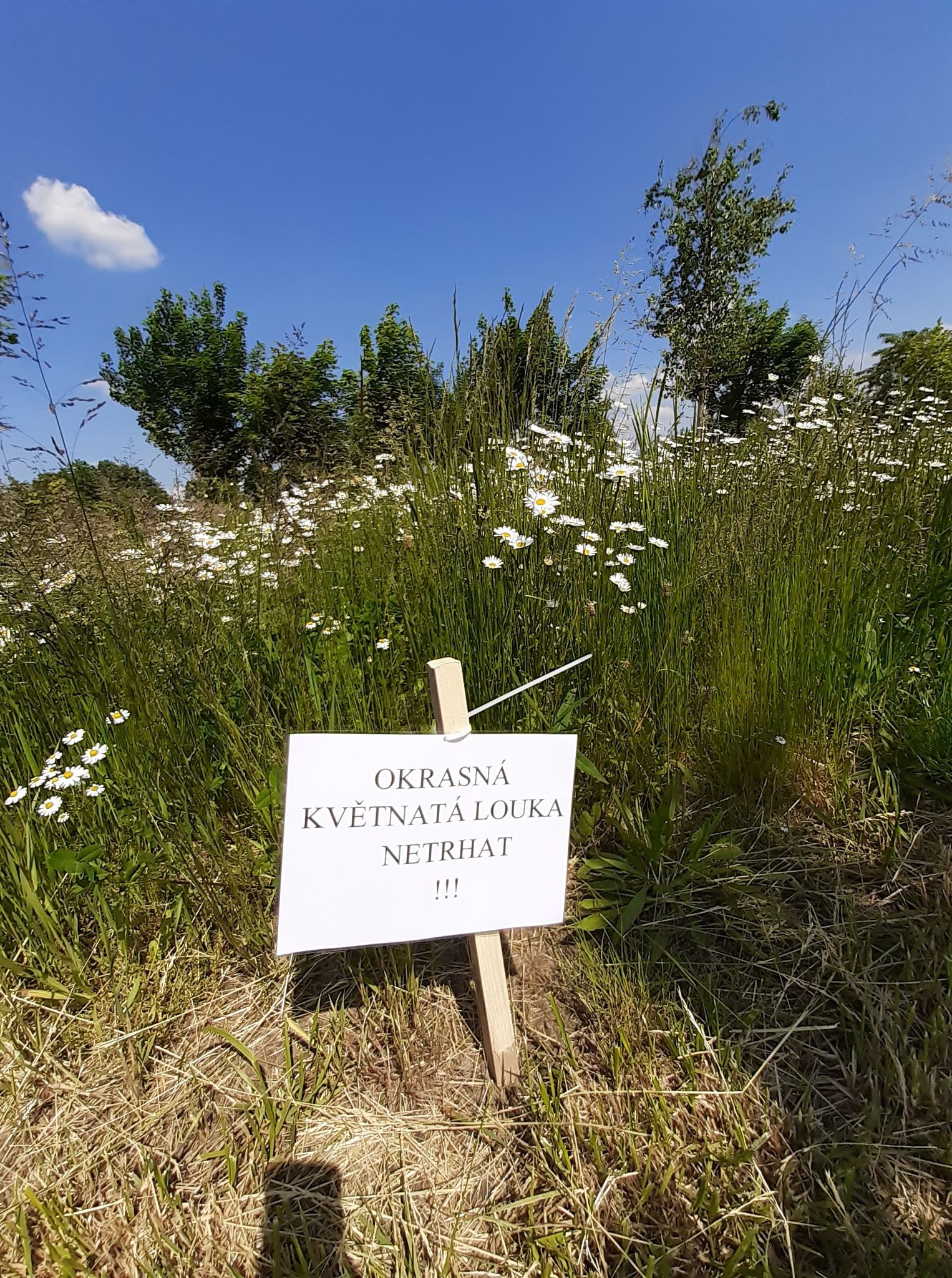 1 | Statutární město Opava