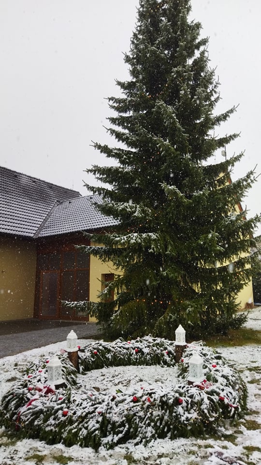 260966102 233326052222375 7120896271558902094 n | Statutární město Opava