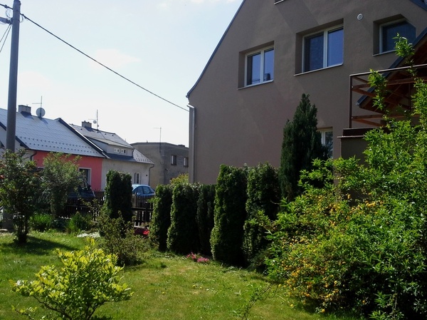 tuje 1 | Statutární město Opava