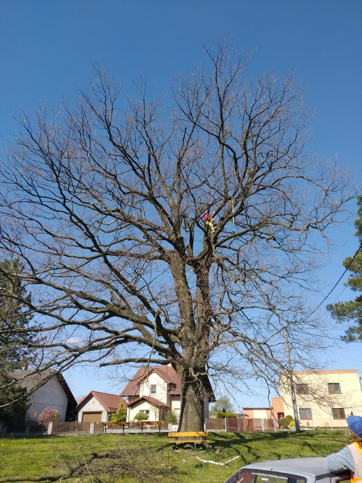 img 20200429 wa0006 | Statutární město Opava