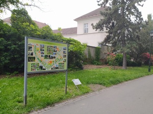 Ilustrační obrázek